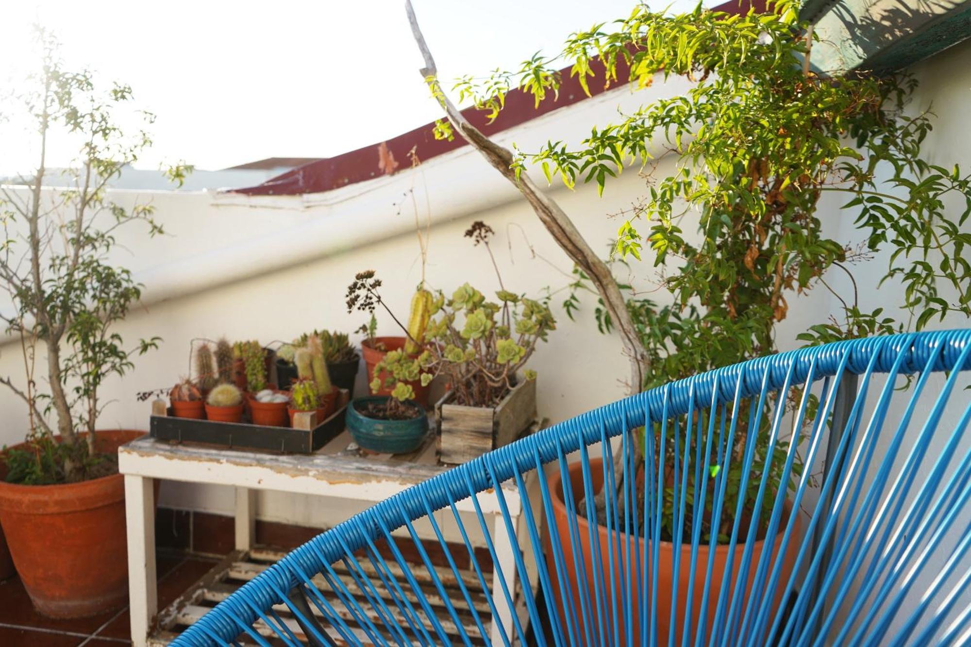 מלון Vic Aveiro Arts House מראה חיצוני תמונה